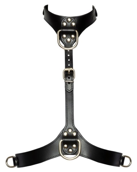 Bad Kitty Chest Harness S-L