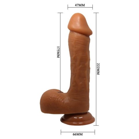 BAILE - JOHNSON, Suction base - Realistyczne dildo na przyssawce