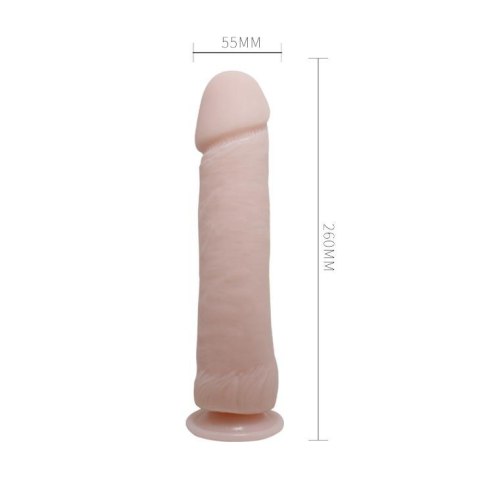 BAILE - The Big Penis - Realistyczne dildo na przyssawce