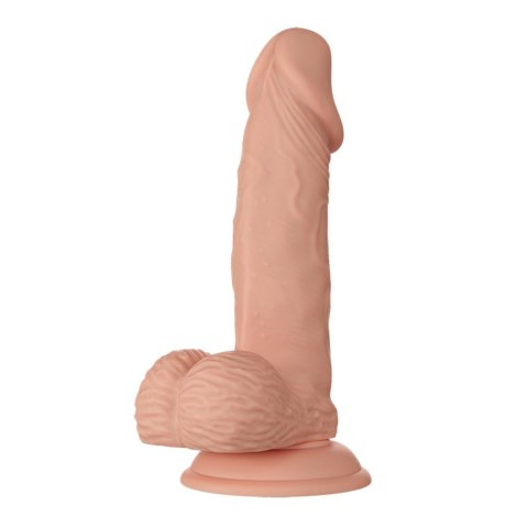 BAILE-Beautiful Zebulon 7.6"""" - Realistyczne dildo na przyssawce