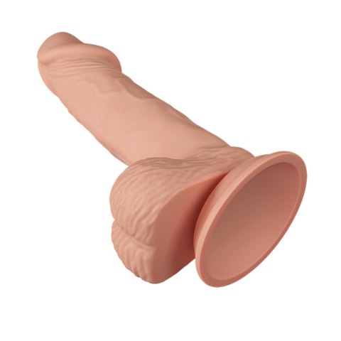 BAILE-Beautiful Zebulon 7.6"""" - Realistyczne dildo na przyssawce