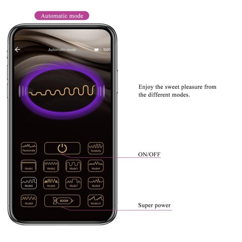 PRETTY LOVE - Liam purple, 12 vibration functions Mobile APP Long-distance Control