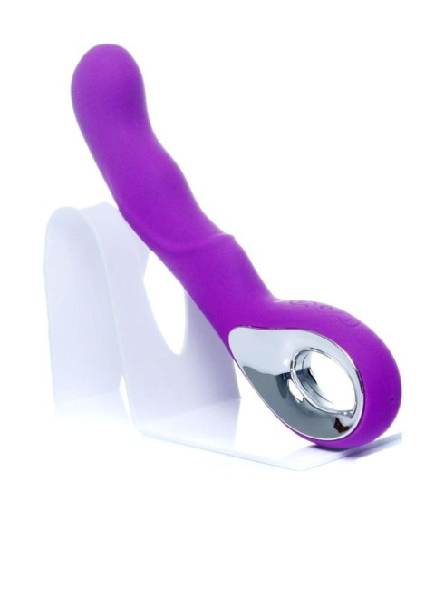 Vibrator G-spot 10 functions USB Purple