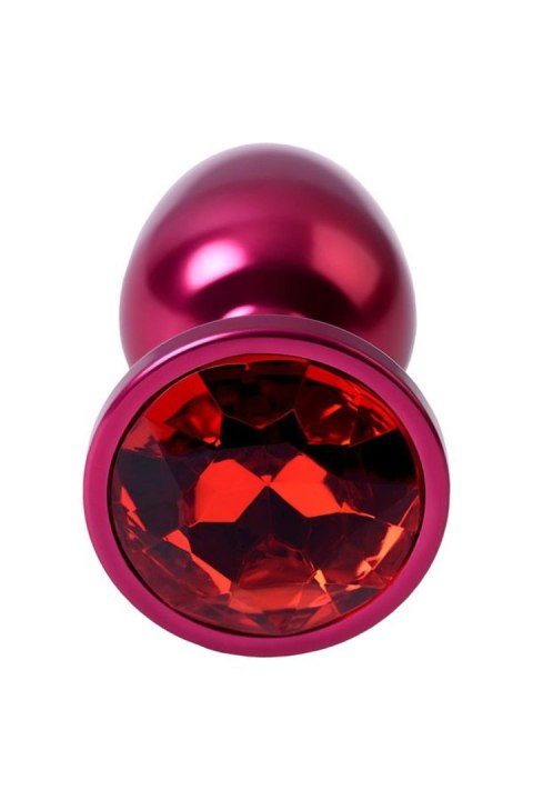 Red anal plug TOYFA Metal with a red colored gem