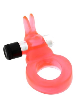 Jelly Rabbit Cockring Red