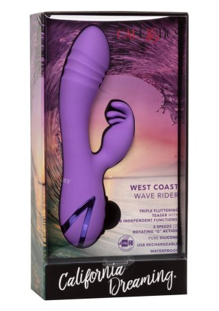 West Coast Wave Rider Purple