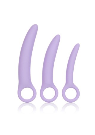 Alena Set of 3 Dilators Purple