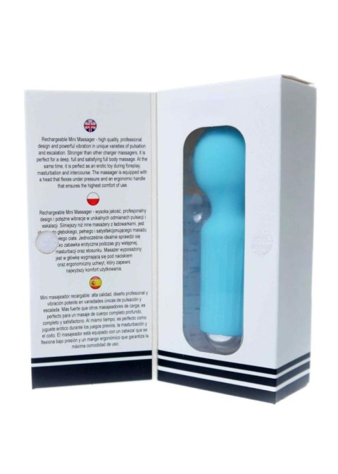 Rechargeable Mini Masager USB 20 Functions - Blue - wibrator Wand