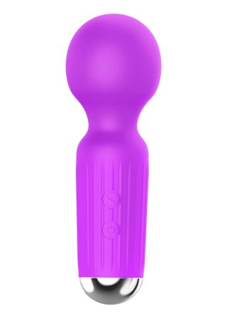 Rechargeable Mini Masager USB 20 Functions - Purple - wibrator Wand