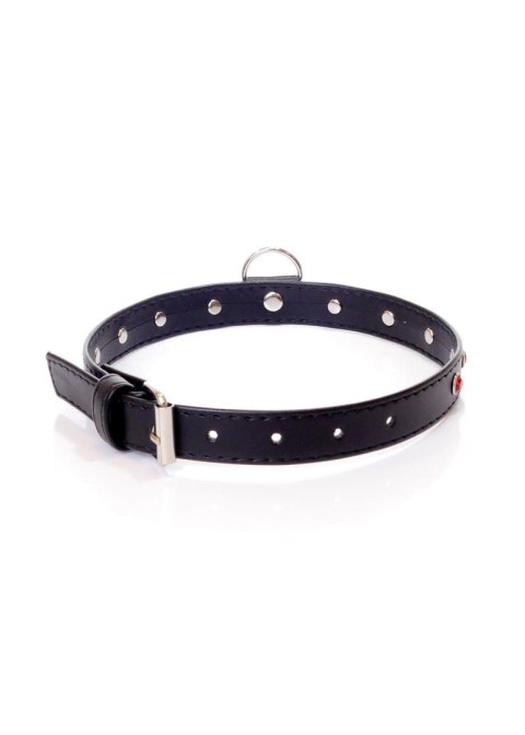 Fetish B - Series Collar - 2 cm. red crystal