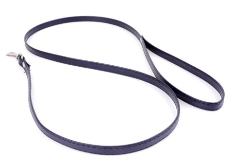 Fetish B - Series Leash