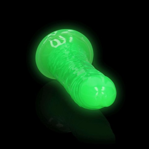 Slim Realistic Dildo with Suction Cup - Glow in the Dark - 7'' / 18 cm - dildo analne